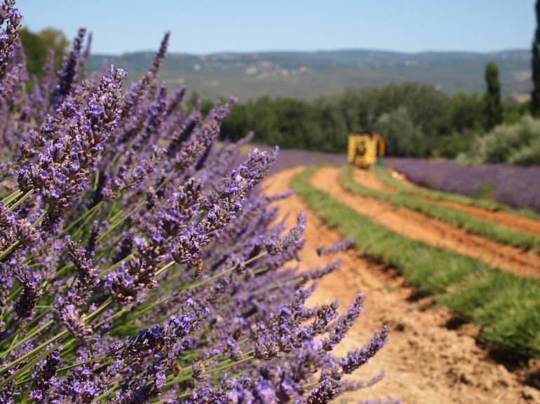 30051776_1810274499028685_8862831413178008882_o (2)